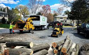 Kirbyville, TX Tree Removal Company